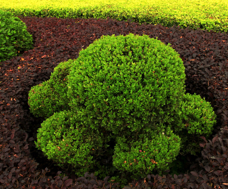 �̻���ľ����