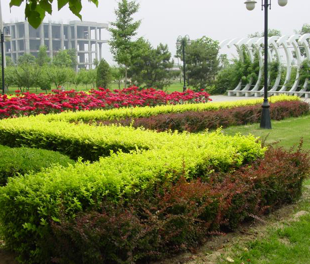 �̻���ľ����